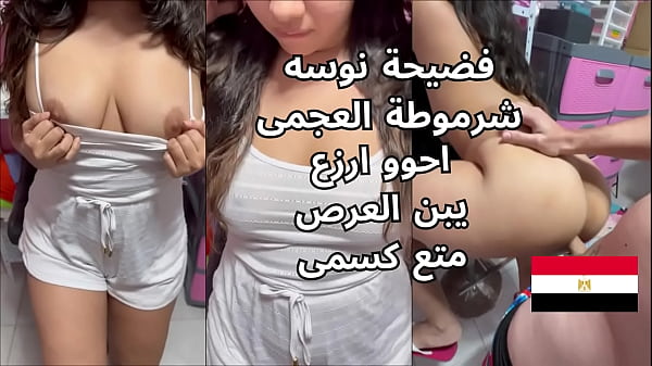 اوسخ سكس مصرى فضيحة نوسه شرموطة العجمى مع سواق التونايه احو يا عرص كسم زبرك نيك كسمى عاوزه اشخر