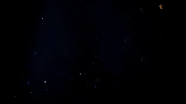 MILF casada num menage a trois na frente do marido corno