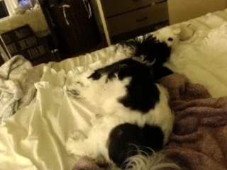 Amateur Teen georgeus brunette 2